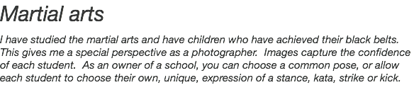 Martial arts I have studied the martial arts and have children who have achieved their black belts. This gives me a special perspective as a photographer. Images capture the confidence of each student. As an owner of a school, you can choose a common pose, or allow each student to choose their own, unique, expression of a stance, kata, strike or kick.