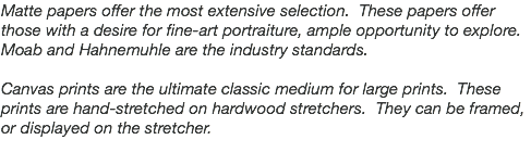 Matte papers offer the most extensive selection. These papers offer those with a desire for fine-art portraiture, ample opportunity to explore. Moab and Hahnemuhle are the industry standards. Canvas prints are the ultimate classic medium for large prints. These prints are hand-stretched on hardwood stretchers. They can be framed, or displayed on the stretcher.